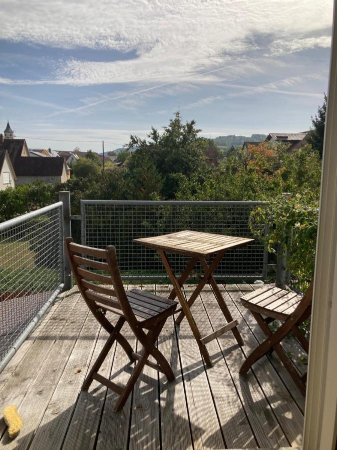 3 Zi Wohnung Haustiere Willkommen Im Markgraeflerland Dreilaendereck Schliengen Bagian luar foto