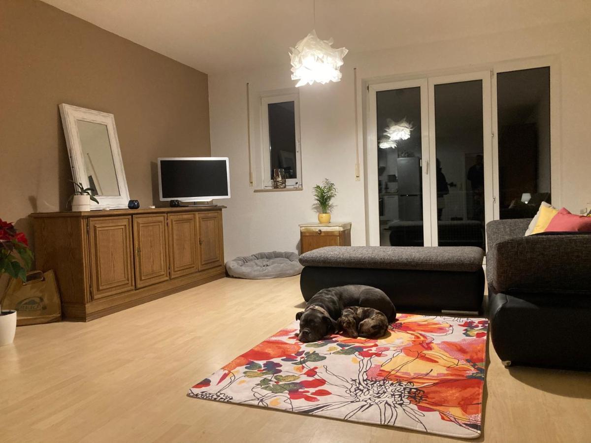 3 Zi Wohnung Haustiere Willkommen Im Markgraeflerland Dreilaendereck Schliengen Bagian luar foto